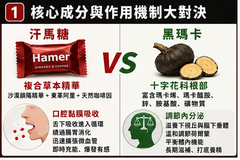 汗馬糖核心成分與作用機制大對決:速效爆發 vs 長效滋補 📊 汗馬糖核心成分與作用機制大對決:速效爆發 vs 長效滋補 📊