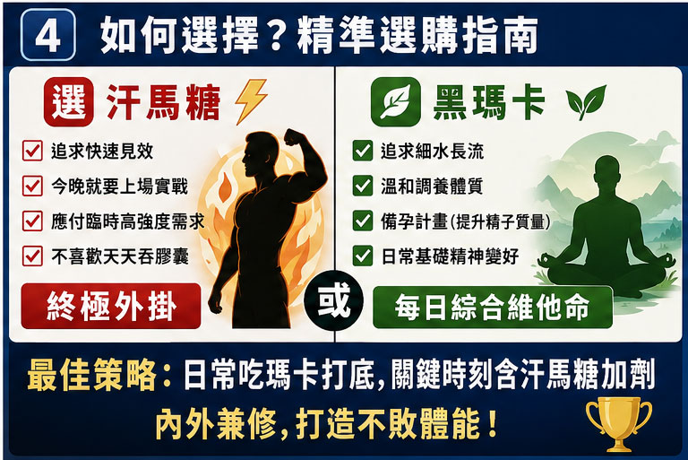 文章總結 文章總結