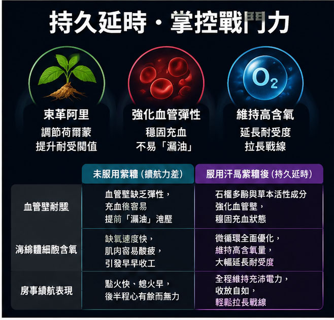 隱藏好處 1:持久延時與掌控射精門檻的續航科技 ⏳ 隱藏好處 1:持久延時與掌控射精門檻的續航科技 ⏳