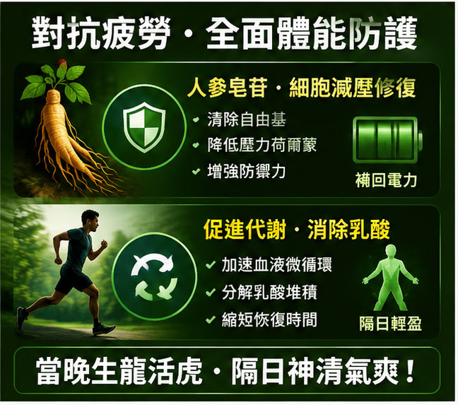 隱藏好處 2:極速對抗熬夜疲勞與全面體能防護 🛡️ 隱藏好處 2:極速對抗熬夜疲勞與全面體能防護 🛡️