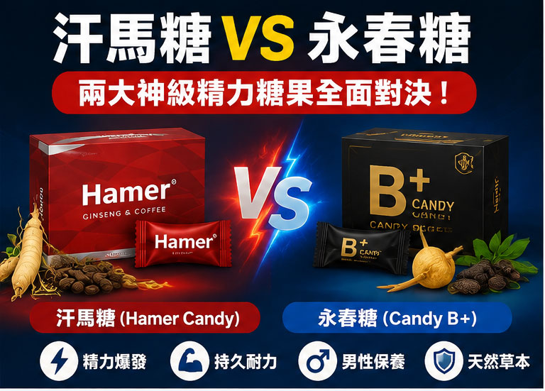 終極挑選指南:你到底適合哪一款?💡 終極挑選指南:你到底適合哪一款?💡