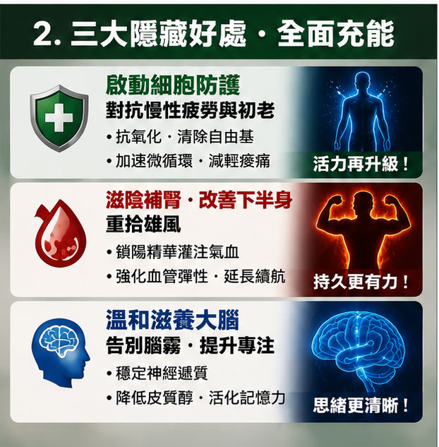 隱藏好處 1：啟動細胞防護，全面對抗慢性疲勞與初老 🌡️