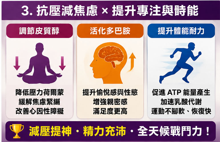 好處 3：全天候肌肉耐力與代謝廢物的高效清除 🔋
