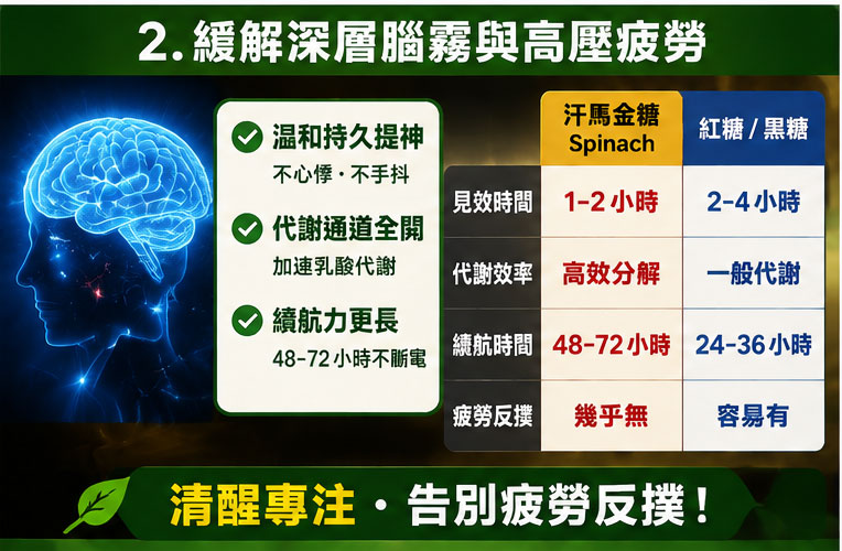 隱藏好處 1：極速緩解深層腦霧與高壓疲勞 🌡️