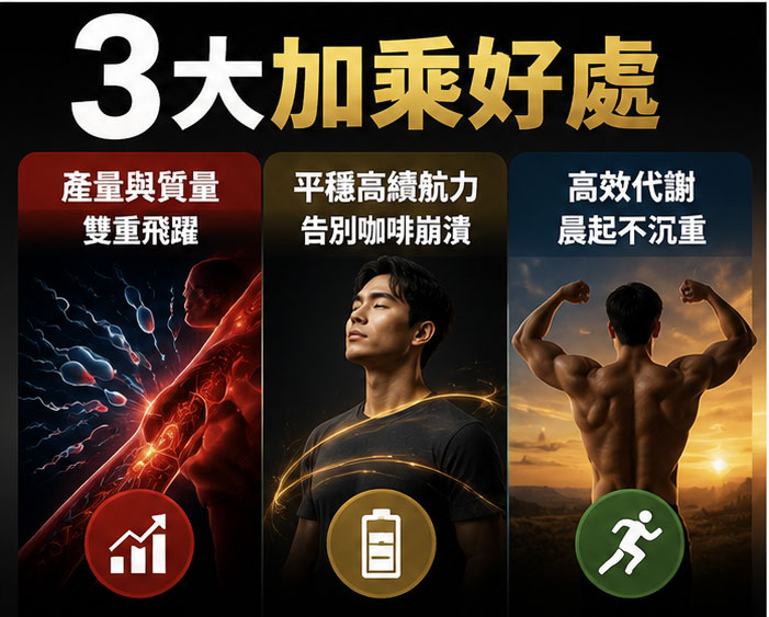 黃金組合共同服用的「 3 大加乘好處」 🌋