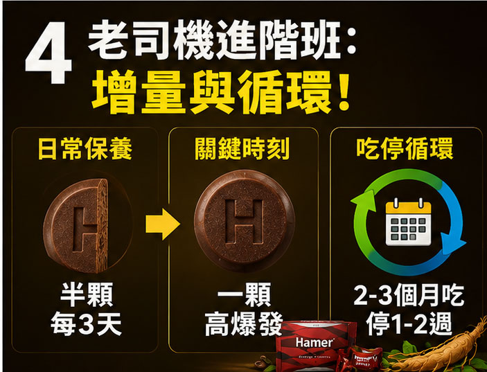 老司機進階班：順利渡過適應期後的「增量與循環」邏輯 💡