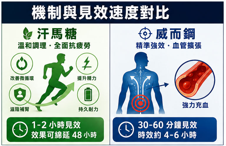 機制與見效速度對比：日常細水長流 vs 臨陣化學衝刺 🌡️