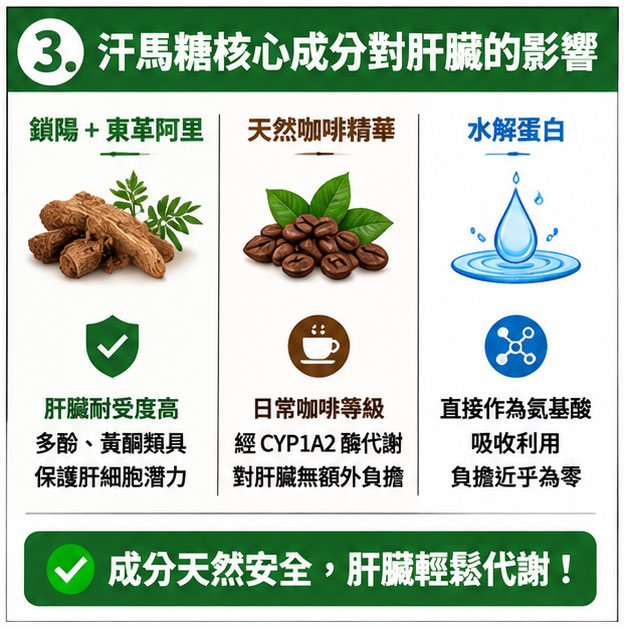 汗馬糖核心成分拆解：它們會給肝臟帶來壓力嗎？🧪