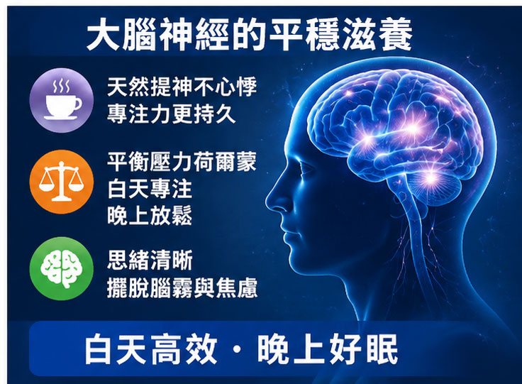大腦神經的平穩滋養：擺脫腦霧與情緒焦慮 💡