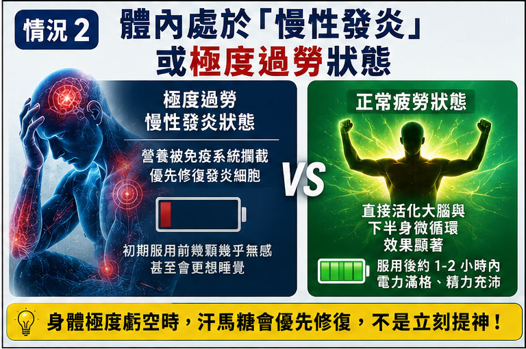 情況 2:體內處於「慢性發炎」或極度過勞狀態 💤 情況 2:體內處於「慢性發炎」或極度過勞狀態 💤