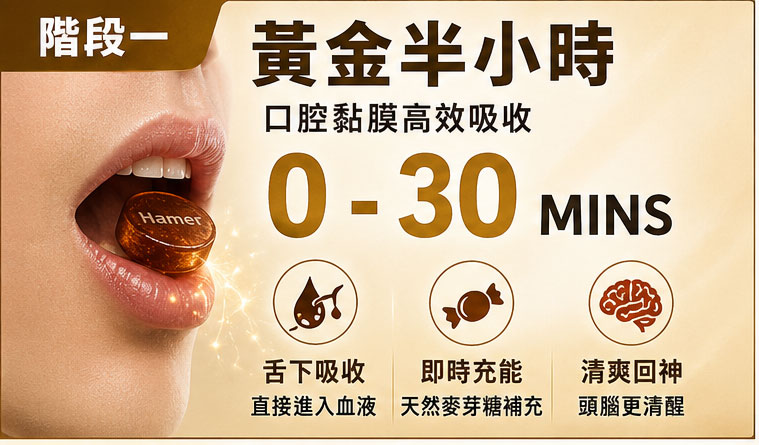 階段一:入口後的黃金半小時(0 - 30 Mins)口腔黏膜的高效吸收 🚀 階段一:入口後的黃金半小時(0 - 30 Mins)口腔黏膜的高效吸收 🚀