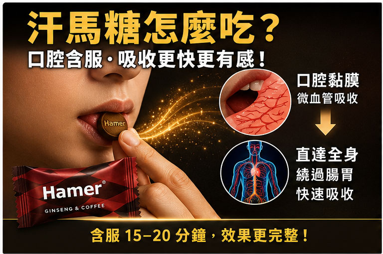 汗馬糖需要空腹吃嗎?拆解腸胃吸收與黏膜通道的科學祕密 🚀 汗馬糖需要空腹吃嗎?拆解腸胃吸收與黏膜通道的科學祕密 🚀