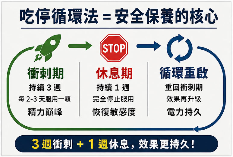 什麼是「吃停循環法」?為什麼它是安全保養的核心?🛡️ 什麼是「吃停循環法」?為什麼它是安全保養的核心?🛡️