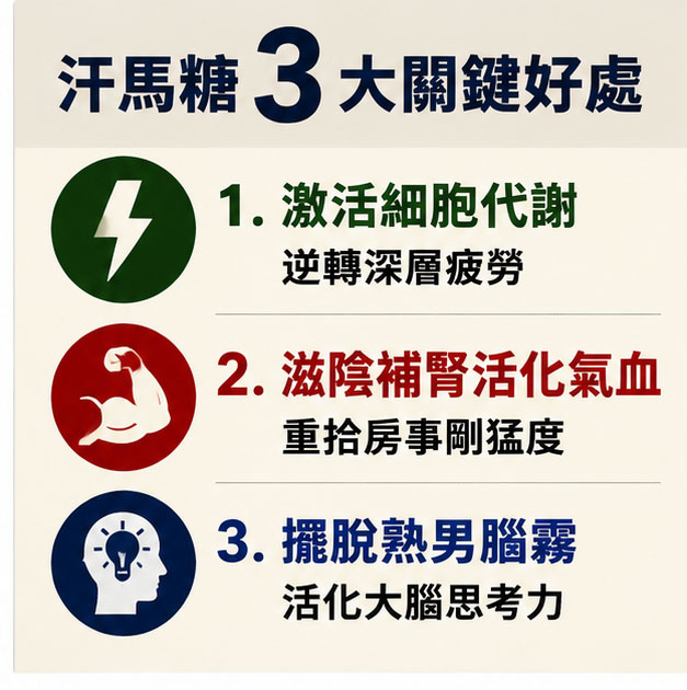 好處 3:擺脫熟男腦霧,活化大腦思考與專注力 💡 好處 3:擺脫熟男腦霧,活化大腦思考與專注力 💡
