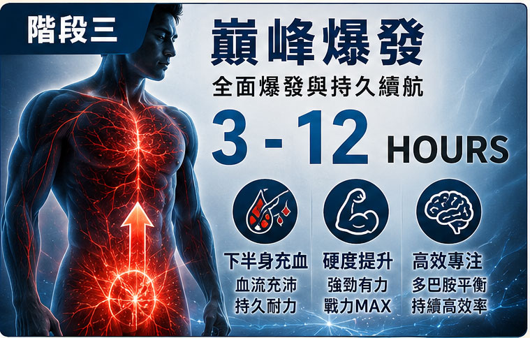 階段三:全面爆發與巔峰續航(3 - 12 Hours)下半身充血與持久力展現 🌋 階段三:全面爆發與巔峰續航(3 - 12 Hours)下半身充血與持久力展現 🌋