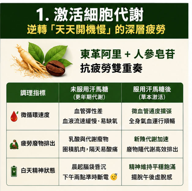 好處 1:激活細胞代謝,逆轉「天天開機慢」的深層疲勞 🛡️ 好處 1:激活細胞代謝,逆轉「天天開機慢」的深層疲勞 🛡️