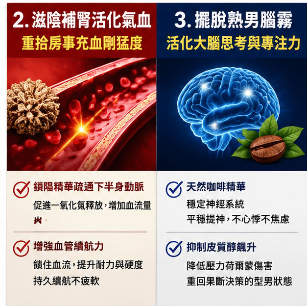 好處 2:滋陰補腎活化氣血,重拾房事充血剛猛度 🌋 好處 2:滋陰補腎活化氣血,重拾房事充血剛猛度 🌋