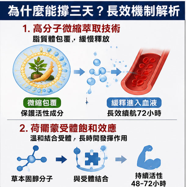 決定續航力的關鍵：為什麼汗馬糖的草本成分代謝這麼慢？