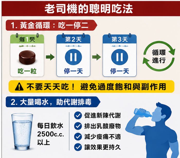 老司機的聰明吃法：如何正確利用 3 天代謝期達到最大效益？💡