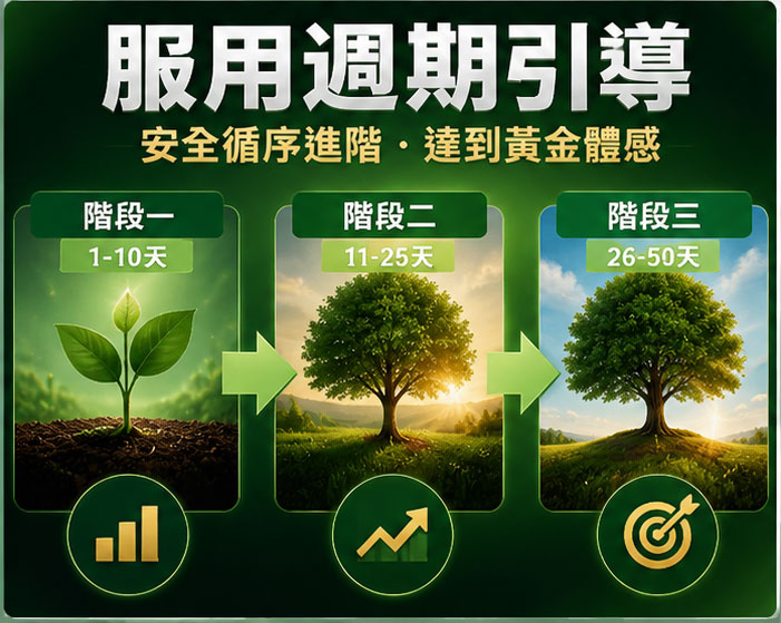 服用週期引導：如何安全避開禁忌以達到黃金體感？