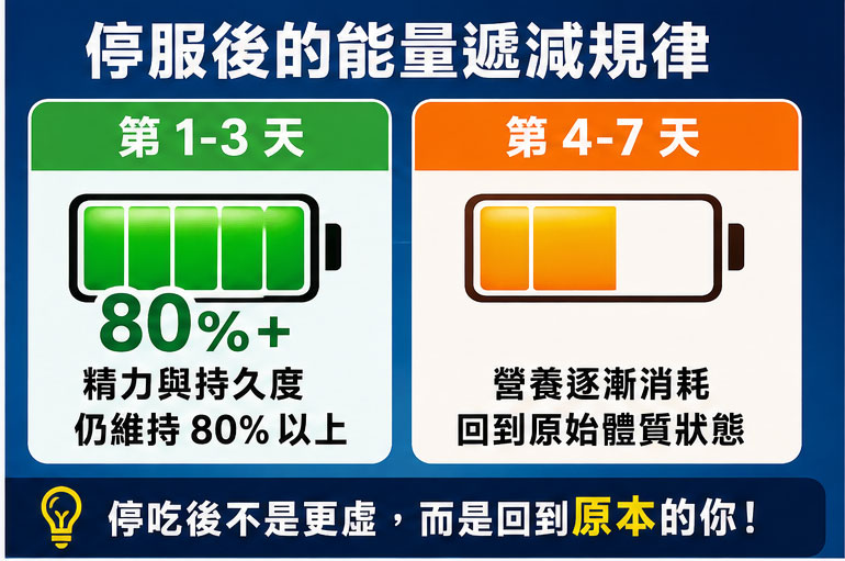 停服後的細胞能量遞減規律 🔋
